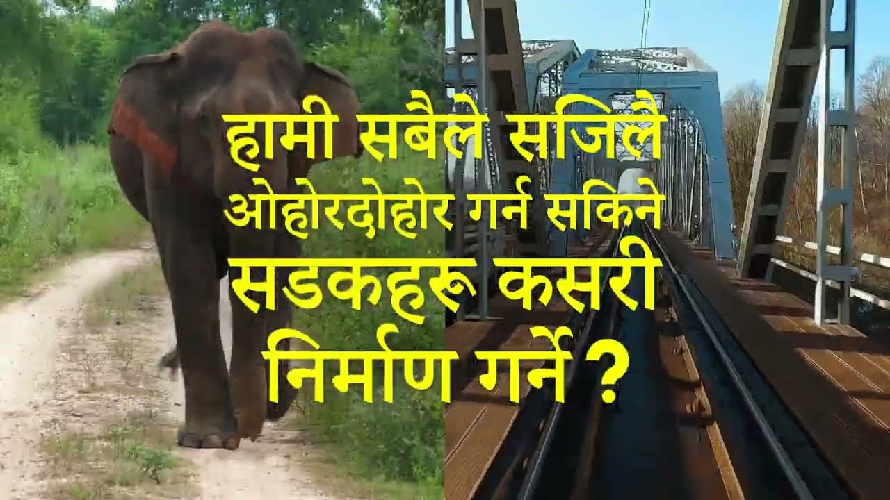 Roads (Nepali)