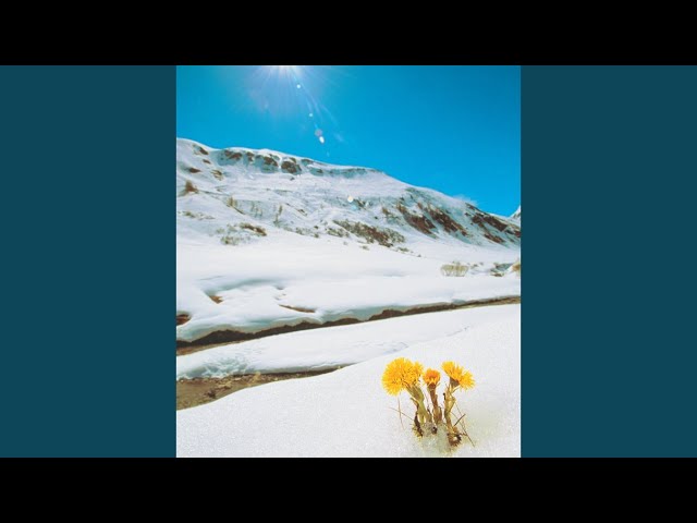 伝わりますか / 夏川りみ