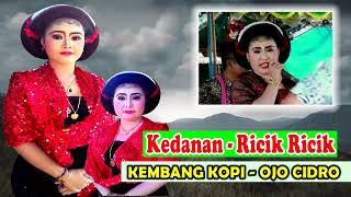 Download lagu KEDANAN, RICIK RICIK, KEMBANG KOPI, OJO CIDRO - TAYUB TUBAN NONSTOP mp3