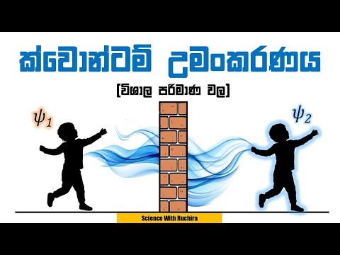 විද්‍යාවේ අත්භූතම යතාර්ථය : භෞතික විද්‍යාව සඳහා නොබෙල් ත්‍යාගය 2025