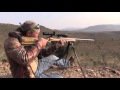 Kurt Hunts A Gemsbuck 2015 Eastern Cape South Africa