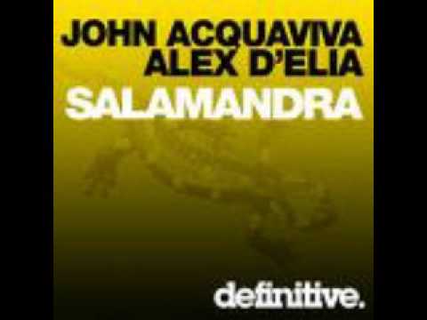 john acquaviva alex d elia salamandra Nihil young remix
