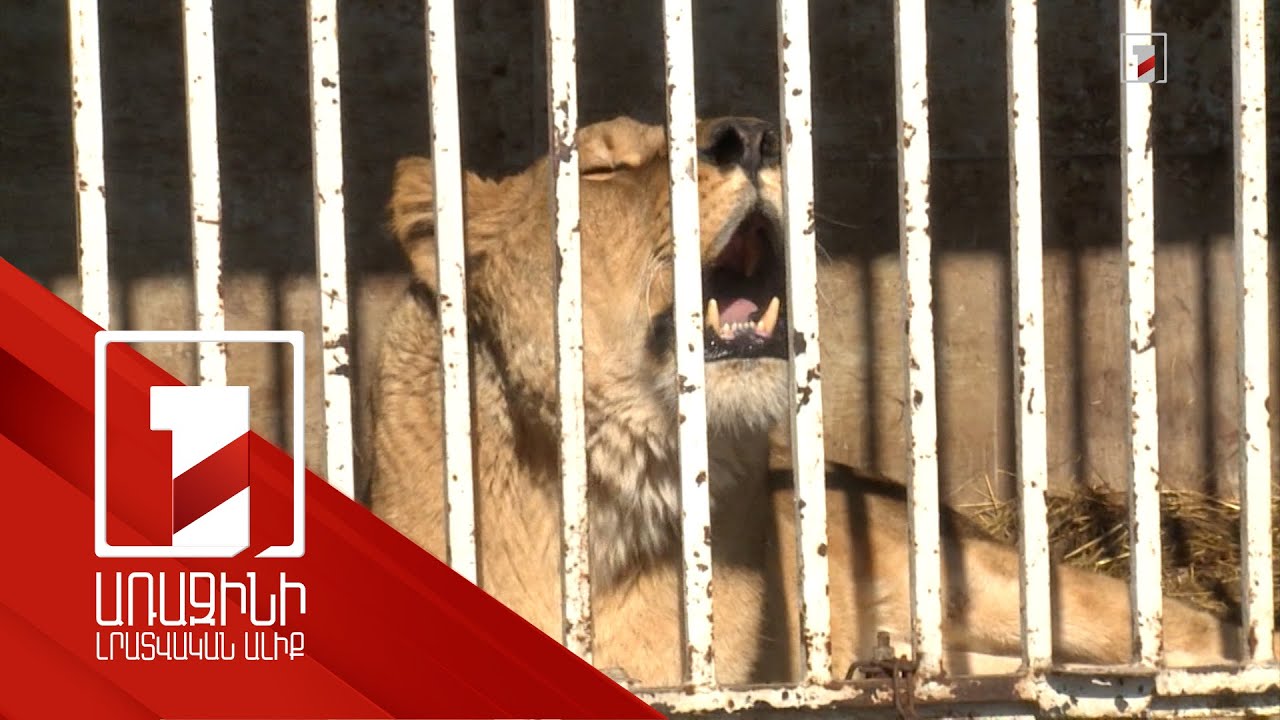 Մասնավոր տարածքներում վայրի կենդանիների պահման պայմանների նկատմամբ վերահսկողությունը կխստացվի