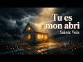 Tu Es Mon Abri Sainte Voix Chant Gospel Puissant Dieu Te Protège