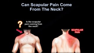 Neck pain or shoulder pain,  WHY IT HURTS.