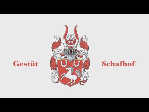 Fiducioso (Foundation x Dancier)