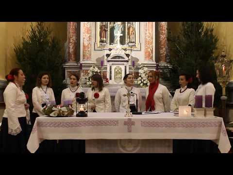 Klapa Nava - Murtilica lipo cviće