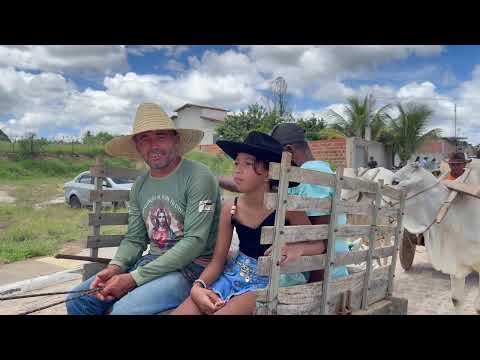 2°Carreata de carros de bois / Município de Guajeru-Ba #sertãobaianoéshow 