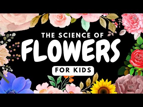 Science of Flowers For Kids by Little Lab | Educational Videos for Toddlers
