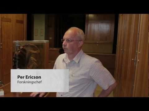 Världens nyfiknaste jobb - forskare vid Naturhistoriska riksmuseet