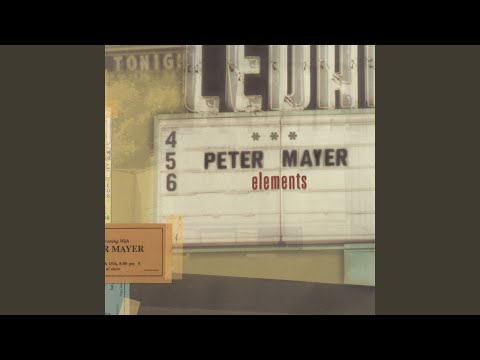 The Birthday Party - Peter Mayer