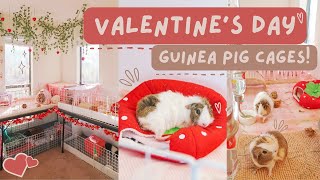 DECORATING MY GUINEA PIG CAGES FOR VALENTINE