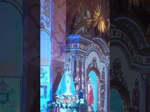 Transmisión en VIVO