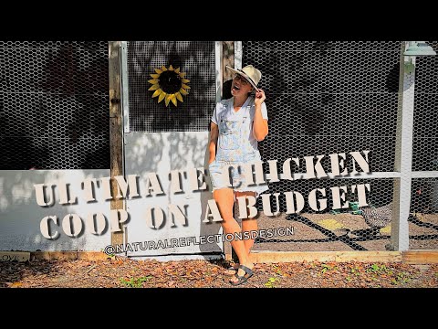 BUILDING THE ULTIMATE DIY CHICKEN COOP ON A BUDGET | AFFORADBLE STRATEGIES FOR FEATHERED FRIENDS