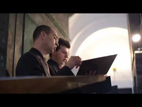 Projekt Lazarus - Ars organi Sisciae 2020