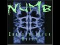 Numb - Frantic