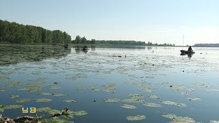 Рыбалка на цимлянском озере в тюмени