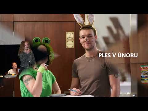 Novoroční sbírka pro opuštěná a týraná zvířata