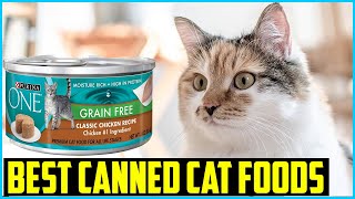 Top 5 Best Canned Cat Foods in 2026