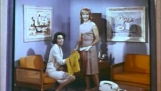 The Salt Flats - If I Can&#39;t Change Your Mind