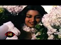 Iru Paravaigal Malai Muzhuvathum இரு பறவைகள் Niram Maratha Pookkal Jency Ilaiyar