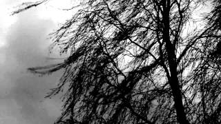 Alt-J - Lovely Day (Bill Withers Cover)