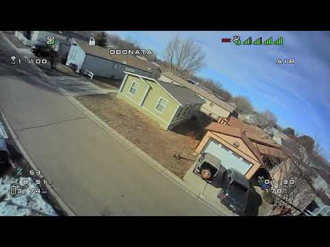 Odonata, HDZero goggles - Odo the thaw!!!