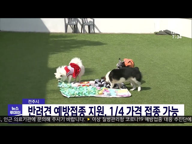 전주시 반려견 예방접종 지원, 1/4 가격 접종 가능