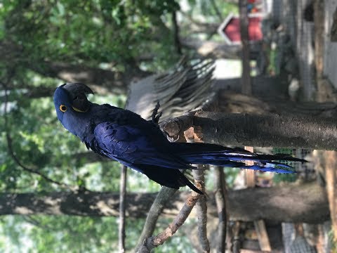 Southwick's Zoo in Mendon, MA