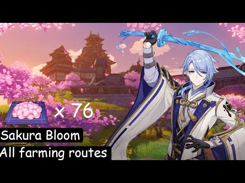 All SAKURA BLOOM LOCATIONS |  GUIDE FOR KAMISATO AYATO AND AYAKA | GENSHIN IMPACT