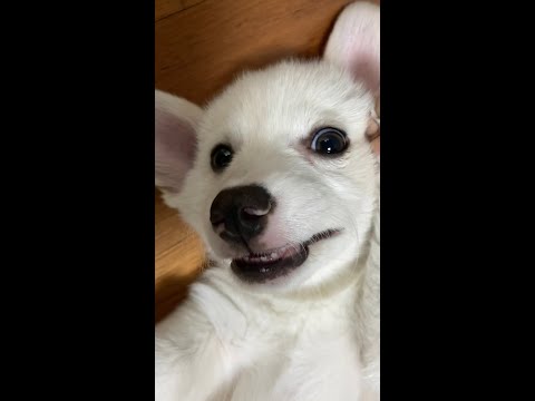 아이콘