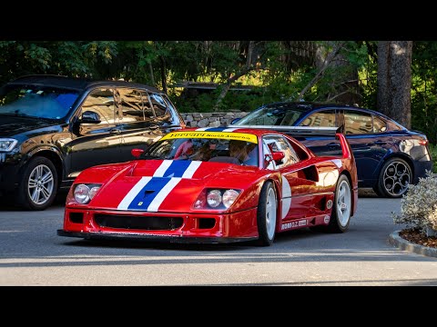 Street Legal Ferrari F40 LM driving in the Swiss Alps - INSANE SOUND!
