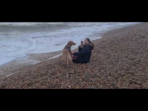 Hastings Beach - Dec 2021