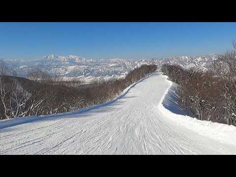 Video: 2022/1/8 野沢温泉スキー場、超絶景のスカイラインコースを山頂から一番下まで一気に気持ちよくかっ飛ばしてみました。