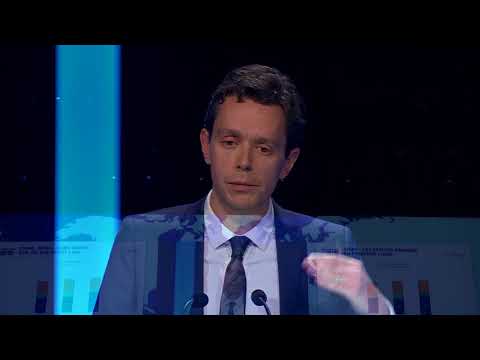 Overview of risks in emerging economies - Julien Marcilly