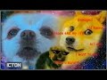 DOGE DOGE DOGE 