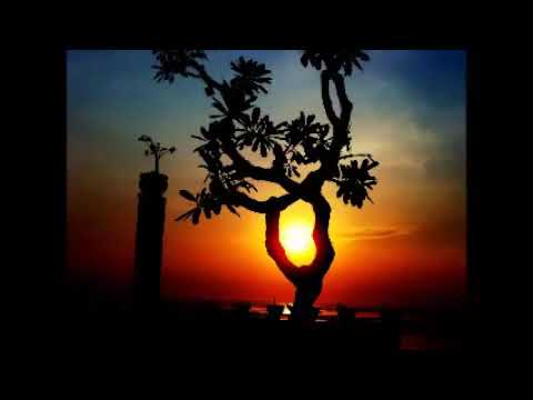 Bali Ethnic Lounge   YOGI BEACH BUNGALOWS   Nusa Lembogan exelent sound