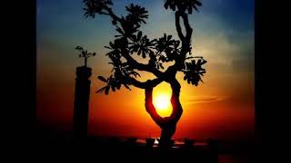 Download lagu Bali Ethnic Lounge   YOGI BEACH BUNGALOWS   Nusa Lembogan exelent sound mp3