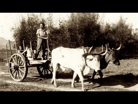 MUSEU MAZZAROPI -TAUBATÉ SP