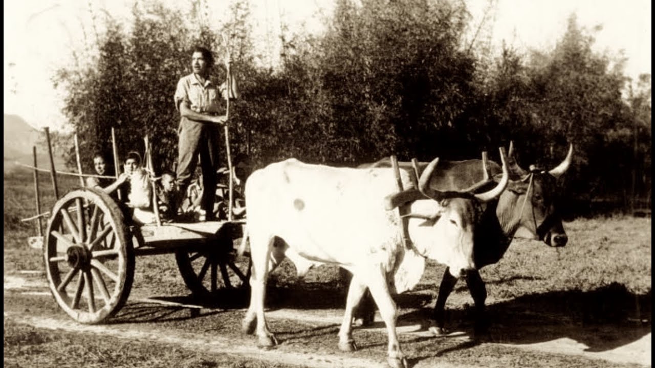 MUSEU MAZZAROPI -TAUBATÉ SP