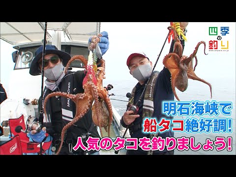 明石海峡で船タコ絶好調！人気のタコを釣りましょう！（四季の釣り/2021年6月18日放送）