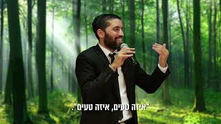 לא ייאמן! מי יחזיק מעמד בגאולה וימליך את המשיח?  הרב שניר גואטה במסר מרגש מרבי נחמן - עם כתוביות (הרב שניר גואטה) - התמונה מוצגת ישירות מתוך אתר האינטרנט יוטיוב. זכויות היוצרים בתמונה שייכות ליוצרה. קישור קרדיט למקור התוכן נמצא בתוך דף הסרטון