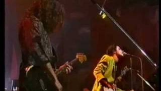 Baby Animals - Early Warning - Live 1991