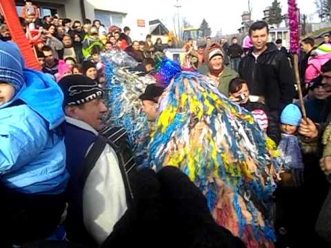 cerbul de la bozieni