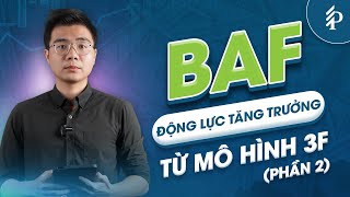 BAF năm 2024: Doanh thu tăng trưởng mạnh nhờ “3 chữ F” ? | Phân tích cổ phiếu BAF (P2)
