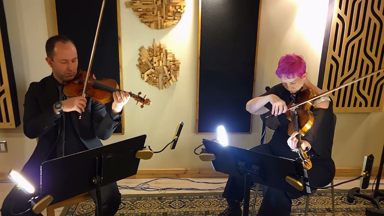 Promotional video thumbnail 5 for Sonorous Strings