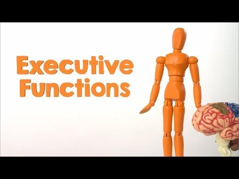 Executive-Function Skills: Important Skills for Childhood Development