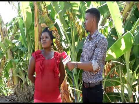 Dangalanga on Nsomba - 18 November 2021