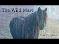 The Wild Mare