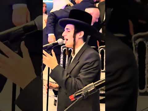 Moti Steinmetz -  Shomati Hineni Rofeh Lach - great performance at a chuppa of a Jewish wedding